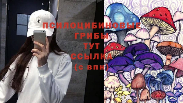 соль курить ск Россошь