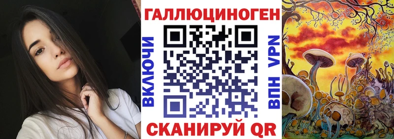 Галлюциногенные грибы Cubensis где найти Узловая