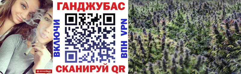 Каннабис план  закладки  Узловая 